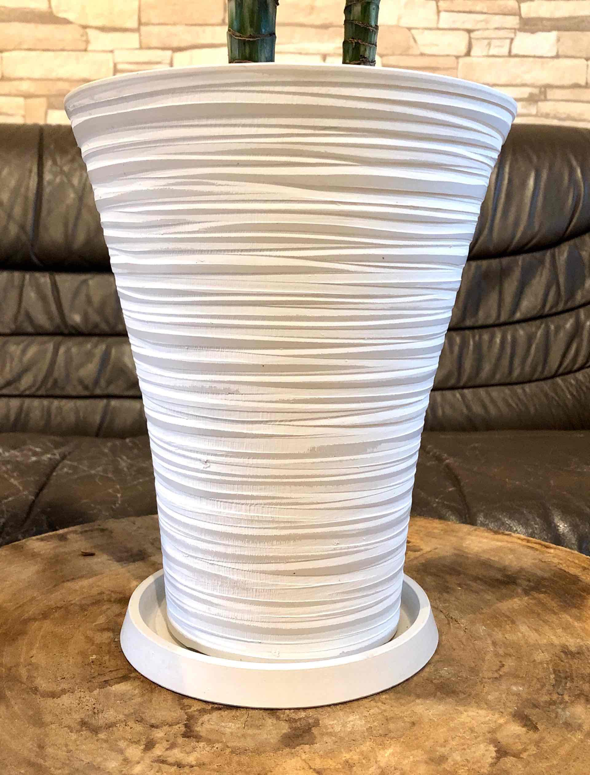 コピー：母の日予約　アジサイ　クイーンズブラック　6号 高級品種 | 5枚目